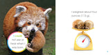 Starting Out: Baby Red Pandas by The Creative Company Shop
