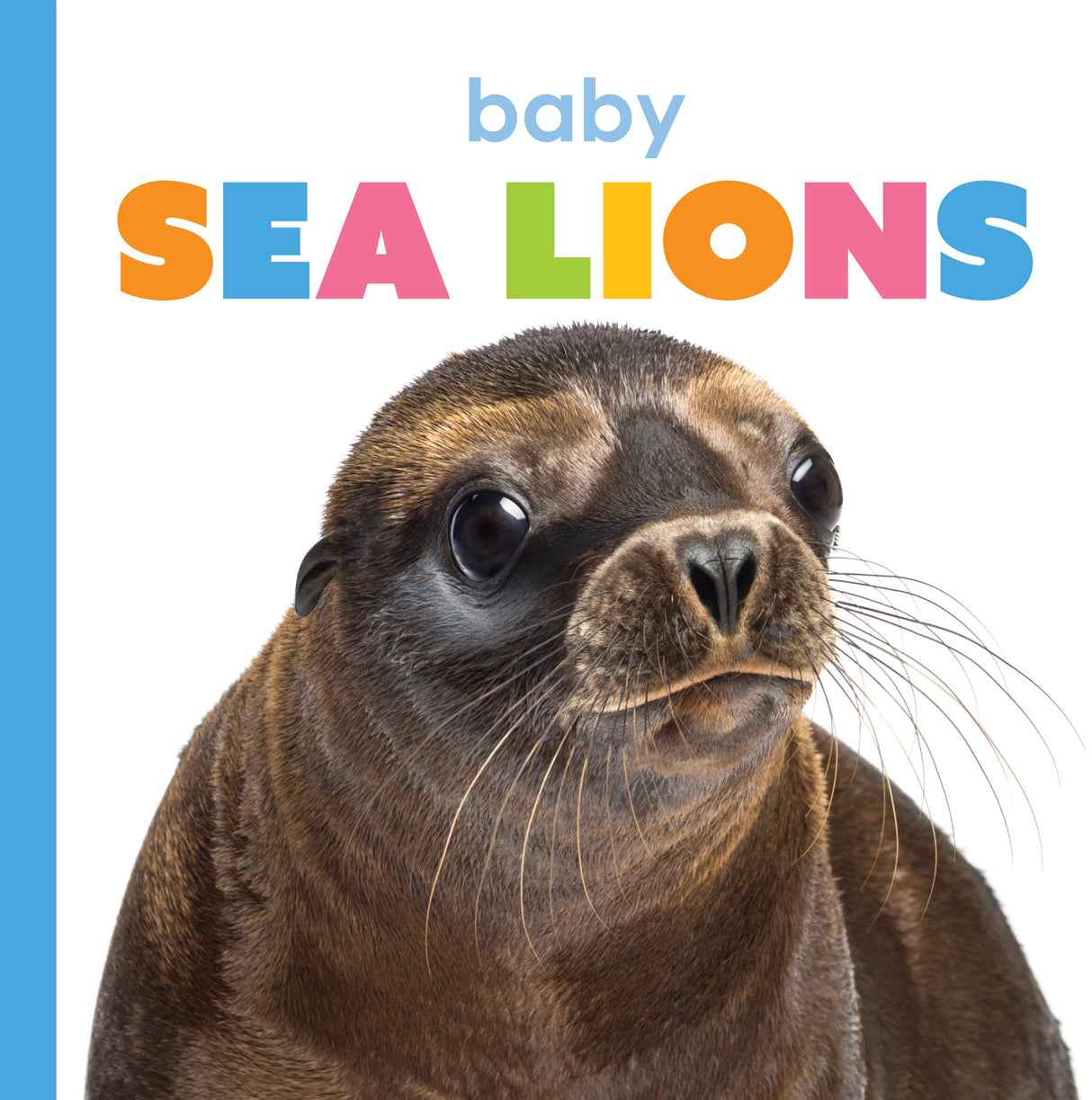 Starting Out: Baby Sea Lions by The Creative Company Shop