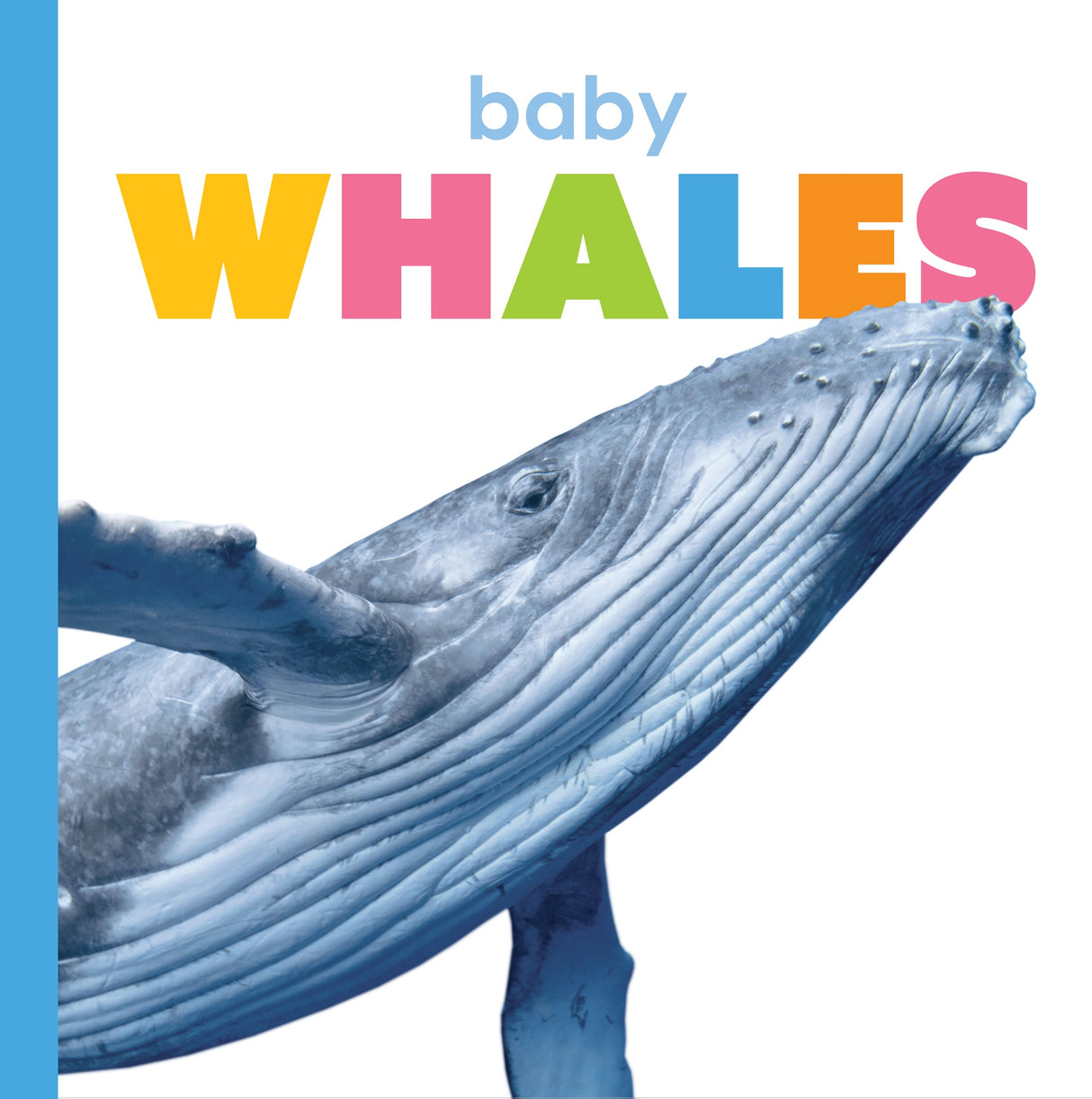Starting Out: Baby Whales by The Creative Company Shop