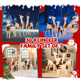 3-Piece Pre-lit Christmas Reindeer Family with 230 Warm White LED Lights