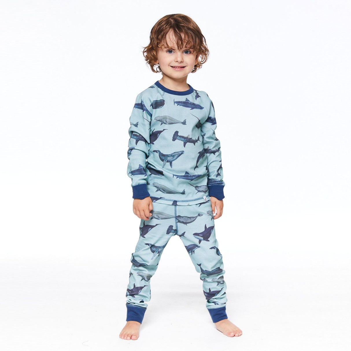 Organic Cotton Two Piece Printed Pajama Set Blue Sharks & Whales by Deux par Deux