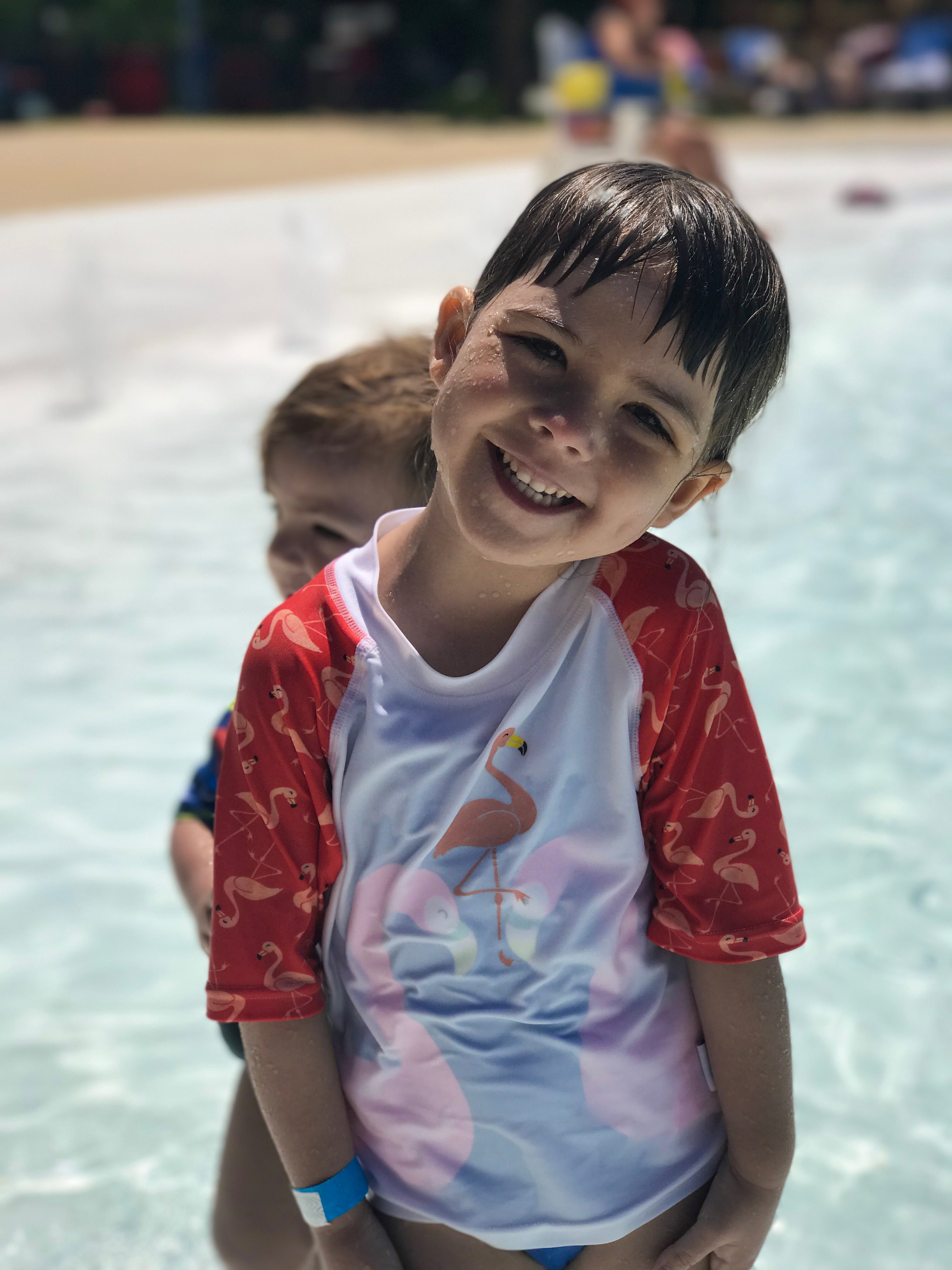 Flamingo rash guard online