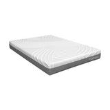 75L x 54W x 8H Memory Foam Mattress with Jacquard Fabric Cover-Queen Size