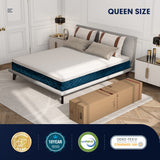 10 Inch Mattress with Jacquard Fabric Cover in a Box-Queen Size