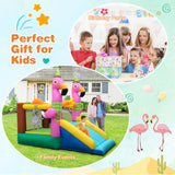 7-in-1 Flamingo Inflatable Bounce House with Slide without Blower