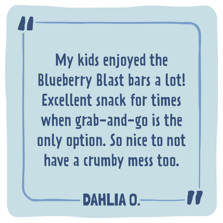 Skout Organic Blueberry Blast Kids Bar by Skout Organic