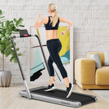 2-in-1 Folding Treadmill with Remote Control and LED Display-Silver